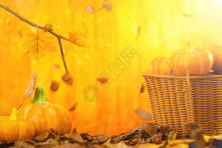 感恩节南瓜和落叶背景图片