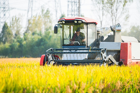 五一大钜惠农民驾驶收割机收割水稻背景