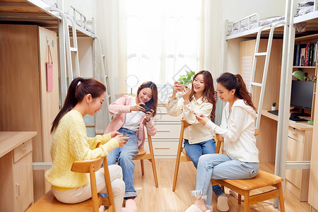 宿舍玩手机女学生宿舍一起玩手游背景