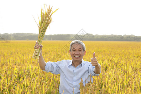 农民举着一把稻子点赞高清图片