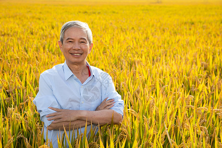 壮志在我胸站在稻田里双手抱胸的农民形象背景