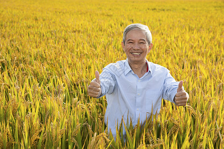 站在稻田里双手点赞的农民形象高清图片