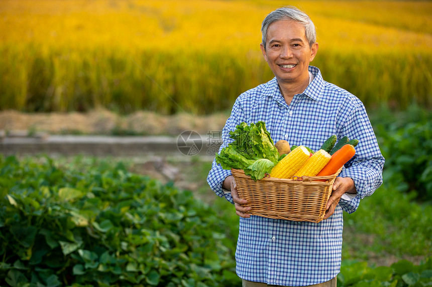 农民怀里抱着一篮子蔬菜图片