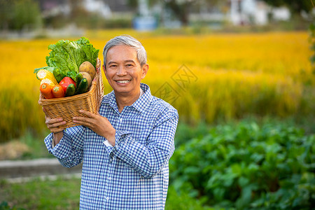 马铃薯田地农民肩膀扛着一篮子蔬菜背景