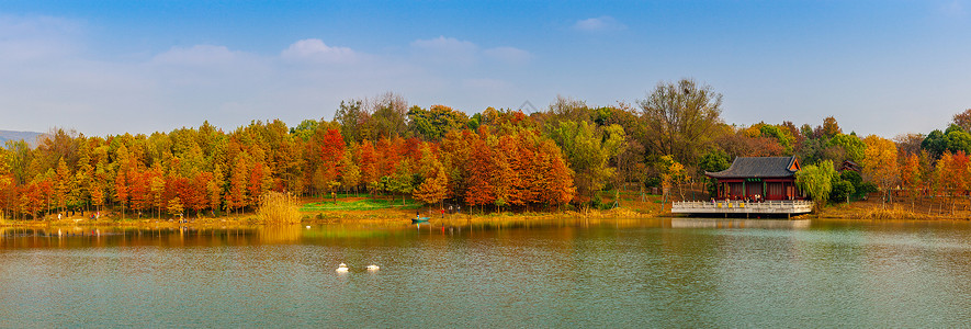 南京燕雀湖秋色全景图片