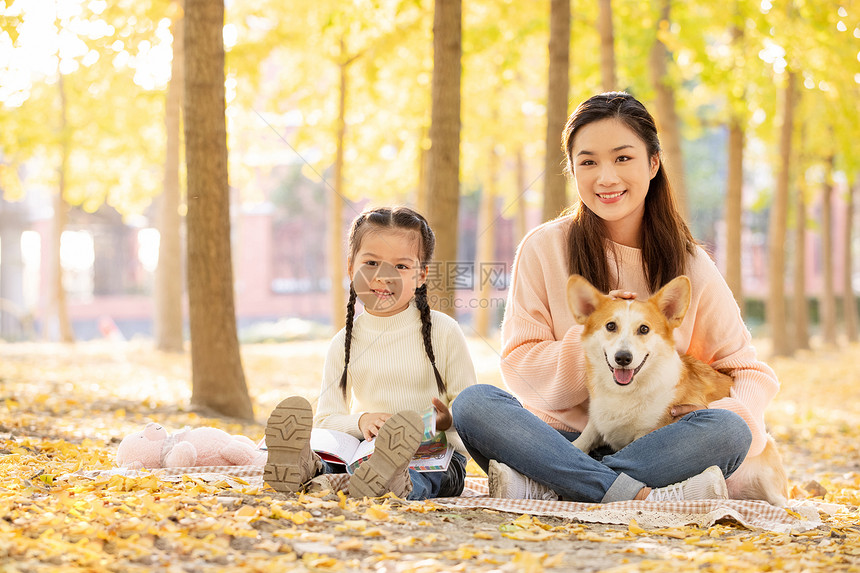 宠物坐在妈妈的怀里图片