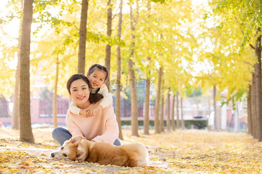 母女两人一起在树林和宠物嬉闹图片