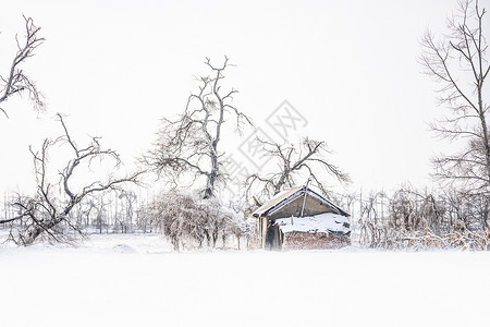 雪地房屋图片