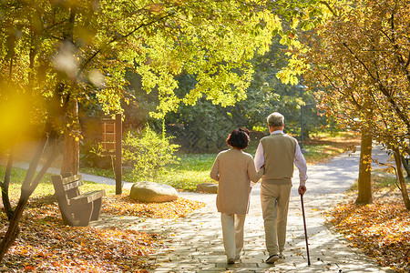 卡通人走路老年夫妇公园散步背影背景