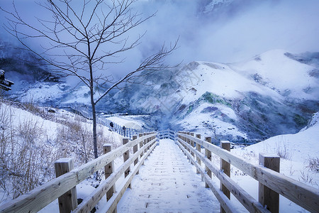 北海道滑雪日本北海道雪地栈道旅游风光背景