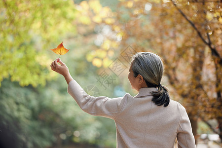 老年人娱乐秋季老人公园里拿落叶背影背景