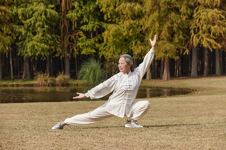 瑜伽养生宣传单秋季老奶奶养生运动公园里练太极武术功夫背景