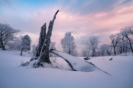 冰霜雪地建模吉林亚龙湾景区冬天树挂风景背景