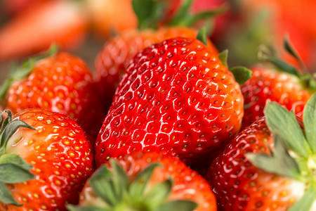 红色的草莓丹东草莓高清图片