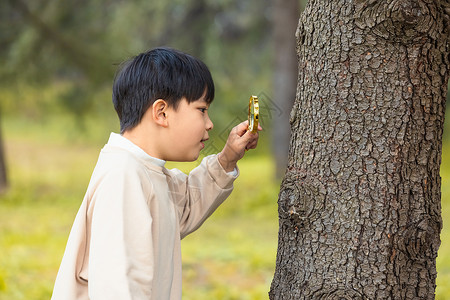 发现背景秋季小男孩公园里拿放大镜观察植物背景