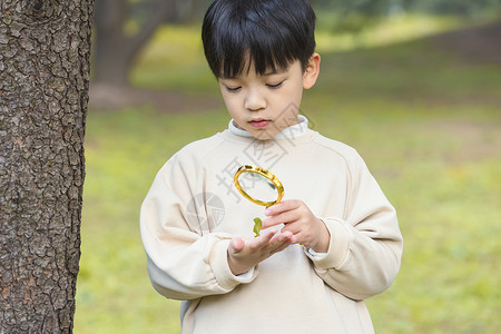 秋季小男孩公园里拿放大镜观察植物高清图片