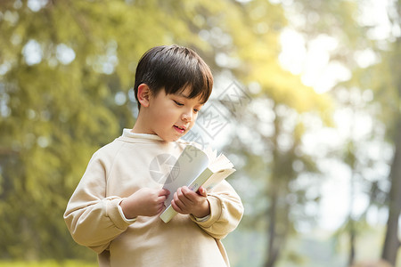 秋季儿童公园里休闲看书背景图片