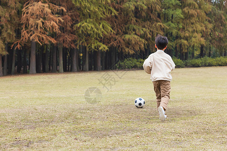 金色足球秋季小男孩公园里踢足球背影背景