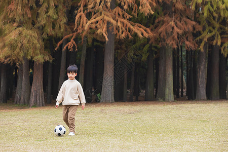 金色足球秋季小男孩公园里踢足球背景