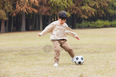 金色足球秋季小男孩公园里踢足球背景