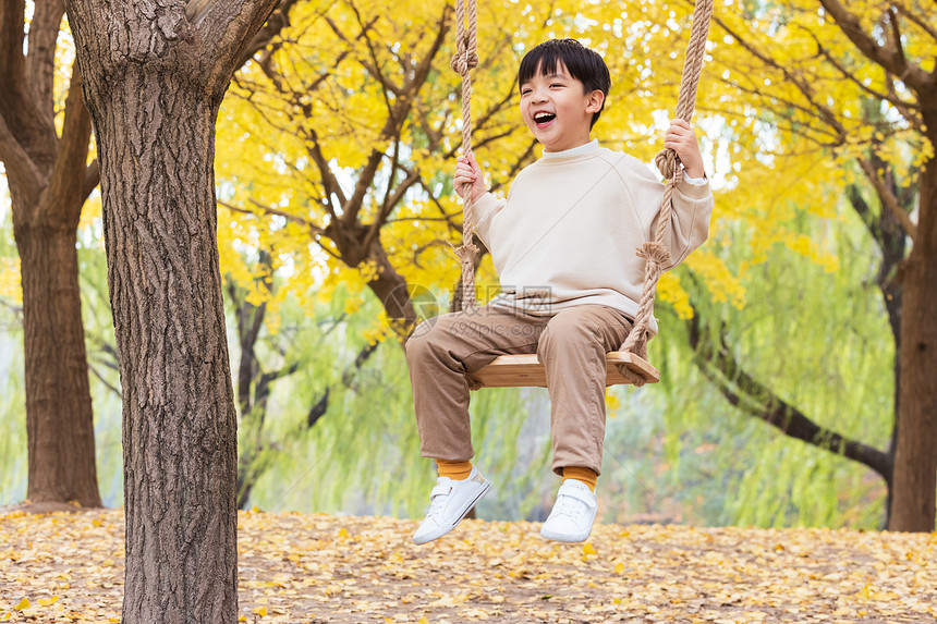 秋色银杏树下小男孩欢乐荡秋千图片