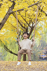 荡秋千的男孩秋季小男孩公园银杏树下荡秋千背景