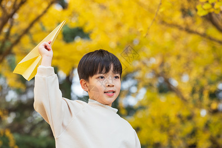 银杏画秋季小男孩银杏树下扔纸飞机背景