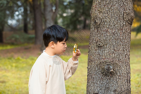 拿玩具的男孩秋季小男孩公园里拿放大镜观察植物背景