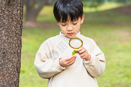 拿放大镜的人秋季小男孩公园里拿放大镜观察植物背景