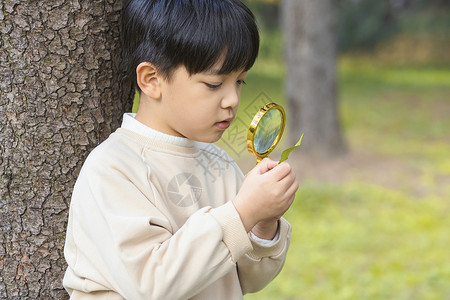 秋季小男孩公园里拿放大镜观察植物高清图片
