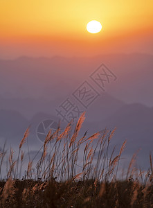 清晨得云海朝阳和山脉高清图片