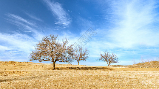  内蒙古草原冬季景观图片