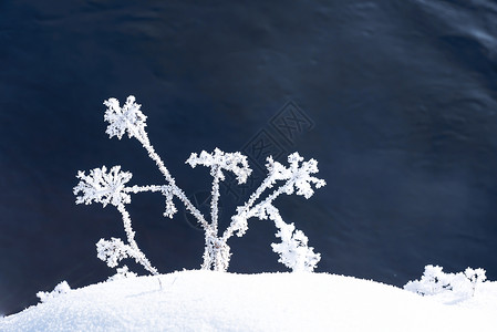 冰霜雪地建模亚龙湾雪玲冬天风光背景