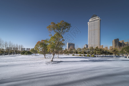 雪后城市风光图片