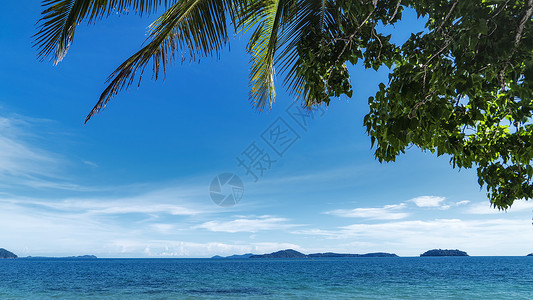 泰国热带椰风椰林海滨海域图片