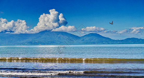 蓝天白云鸟蓝天白云大海风光背景