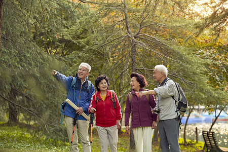 秋冬老年人组团户外旅游背景图片