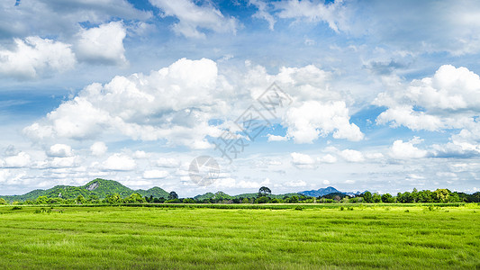 泰国郊外的田野图片