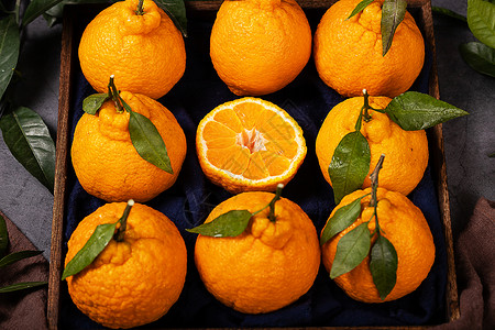 水果丑橘春见柑橘柑桔属高清图片