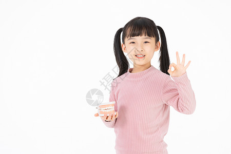 手拿牙齿模型的小女孩高清图片