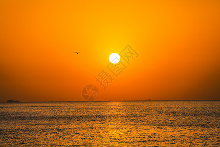 太阳从海面上升起背景图片