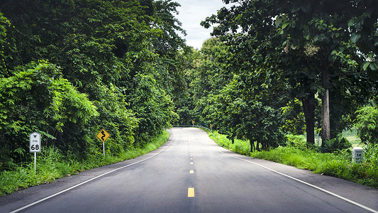 森林旅行道路公路背景图片