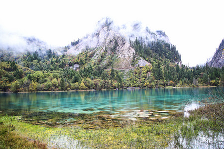 阿坝九寨沟五花海景区背景图片