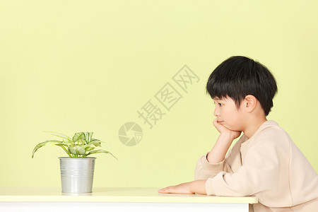 面对植物思考的小男孩图片