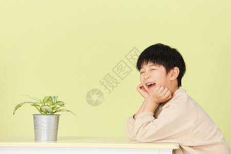 面对植物笑得很开心的小男孩高清图片