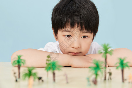观察植物模型的小男孩图片