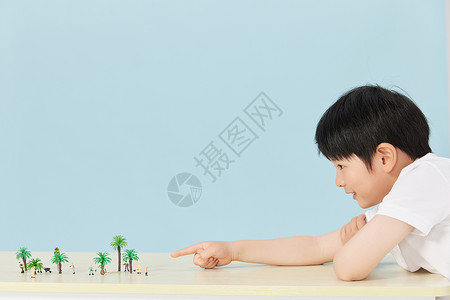 小南在趴在桌子上玩植物模型图片