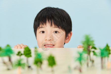 小男孩与微缩植物模型图片