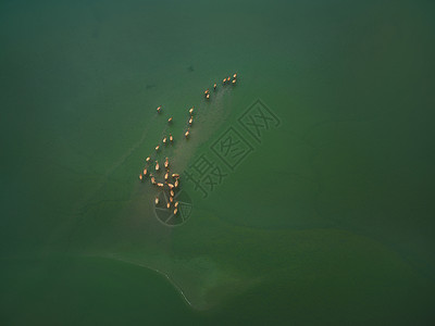 黄海湿地生态地貌图片