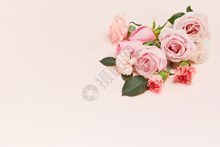 妇女节玫瑰3.8妇女节主题静物鲜花背景